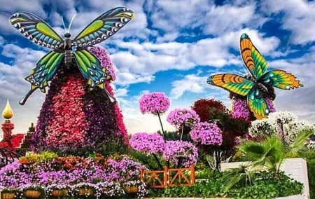 Miracle Garden Dubai Tour With Ticket