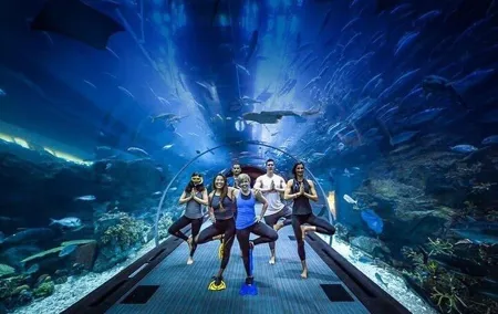 Dubai Aquarium underater zoo penguin cove with optional transport