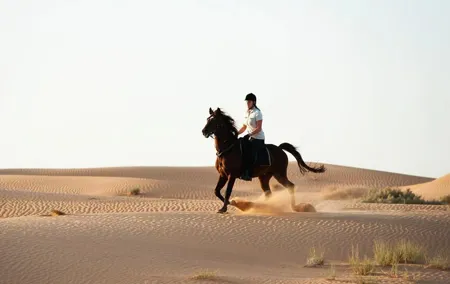 Horseback Riding in Dubai Desert with Transfers