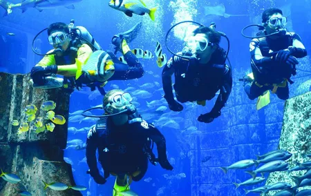 Dubai Lost Chambers Dive Discovery