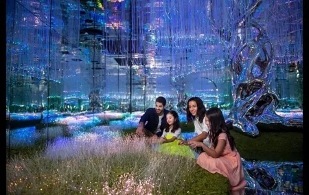 Full-Day Dubai City Private Tour with Multi Attractions