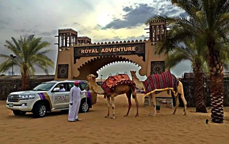 Desert Safari Evening Tours:- Special Rides, BBQ Buffet ,Live Entertainment