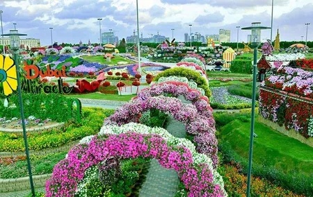 Private Dubai Miracle Garden tour with round trip transfers