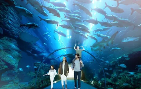 Dubai Mall Aquarium and Underwater Zoo Ticket