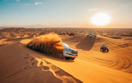 Desert Safari With BBQ Dinner,Quad Ride Falcon Photo Sandboarding