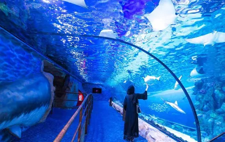 VIP Experience Dubai Aquarium & Underwater Zoo-As per Selection