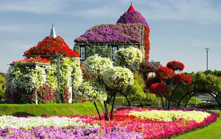 Miracle Garden and Global Village Dubai with transfers