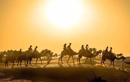 Dubai Sunset Camel Trekking with Shows & BBQ Dinner