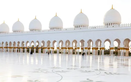 Abu Dhabi Tour With Louvre Museum Admission & Lunch