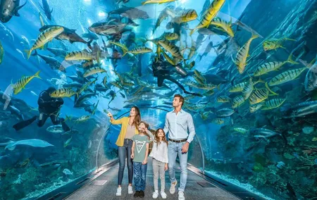 Dubai Mall Aquarium & Underwater Zoo Ticket with Private Transfer