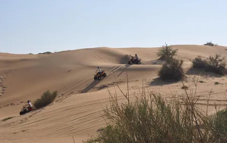 Dubai Desert Afternoon Quad Safari with Camel Ride, BBQ Dinner and Belly Dancing