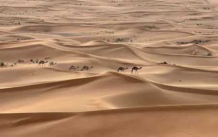 Dubai Red Desert Safari on Private 4x4, Sand Boarding, Camel 4hrs