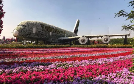Dubai Miracle Garden Self-Guided Tour with Ticket with Transfer