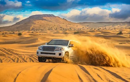 Evening Desert Safari with BBQ Dinner and Live Shows