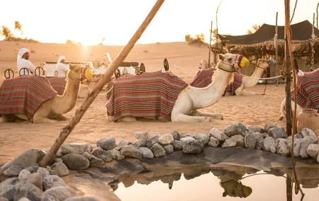 Dubai: Bedouin Culture Safari