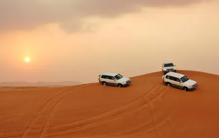 PRIVATE Dubai Desert Safari with BBQ Dinner and Shows