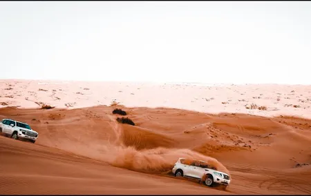 "Morning Desert Safari with Camel Farm visits & Arabic Treats"