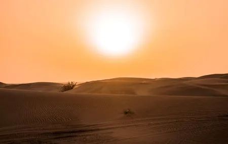 Sundowner Dune Safari With Dinner