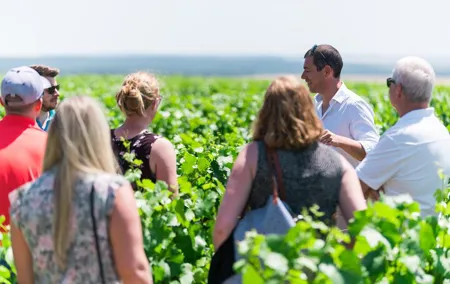 Burgundy Wine Tasting Small-Group Tour in Chablis from Paris