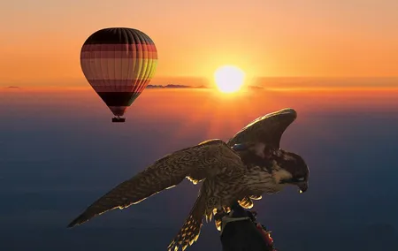 Amazing Hot Air Balloon With Beautiful Desert Sunrise View