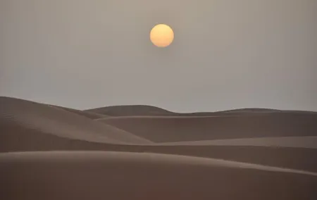 Dubai Desert Safari: Tanoura Show, Dune Bashing and BBQ Dinner