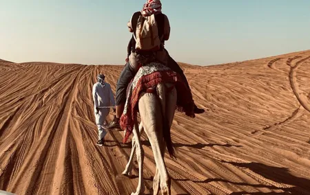 Exclusive Evening Desert Safari
