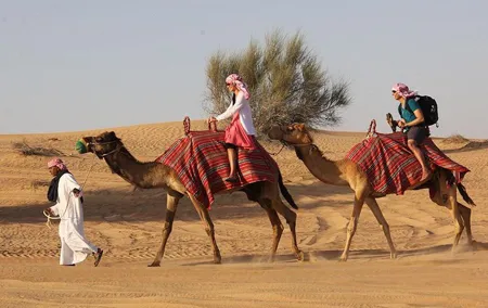 Desert Safari Tour, 6 Hour Fun, Family & Friends, Camel Ride & Dinner Included.