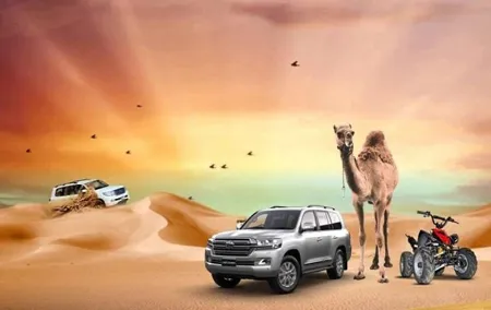Dubai afternoon Desert Safari (Kids friendly )