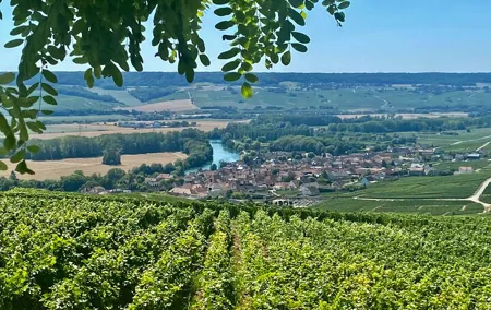 Moet et Chandon Veuve Clicquot Private Champagne trip from Paris