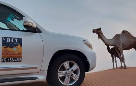 Dubai Desert Safari With Sandboarding & Camel Riding