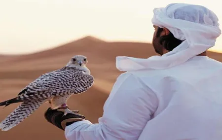 Arabian Desert Experience In Dubai