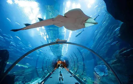 Modern Dubai with Burj Khalifa and Dubai Aquarium Visit