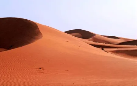 Desert Safari in a 4 x 4 with Sand Ski and Camel Ride from Dubai