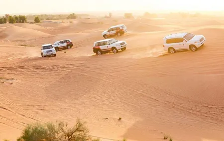 Dubai Desert Safari with Burj Khalifa - Ticket Only with No transfer to Burj Khalifa -