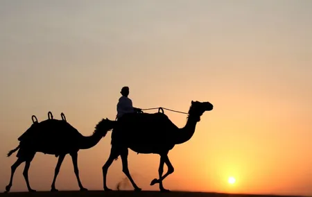 Private Desert Safari Tour in Dubai