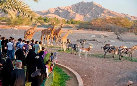 Private Al Ain Tour by 4x4 Vehicle with Zoo Tickets