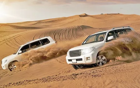 Dubai Desert Red Dune Half-Day Safari Adventure and BBQ Dinner