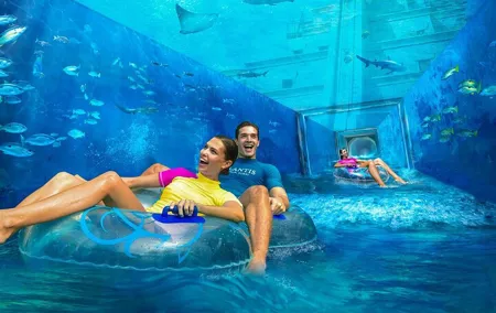 Atlantis Aquaventure And Lost Cambers Aquarium with Transfer