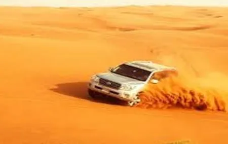 Red Dune Desert Safari With Live BBQ Dinner And Belly Dance