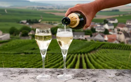 Epernay and Reims Champagne Private Day Trip from Paris