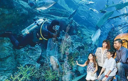 Full Day Dubai City Tour with Burj Khalifa & Underwater Zoo Ticket