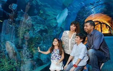 Half Day Dubai City Tour & visit to Dubai Aquarium Underwater Zoo