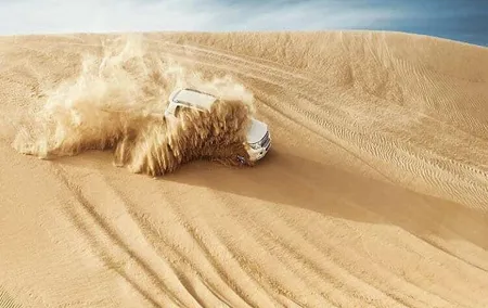 Morning Desert Safari With Camel Trekking