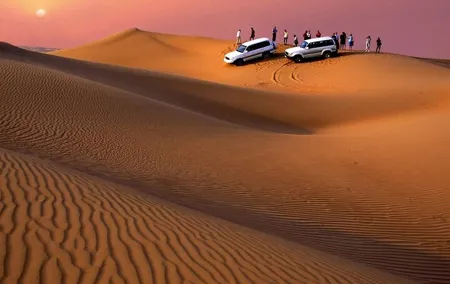 Private Tour at Desert Safari With Camel Ride & BBQ Dinner