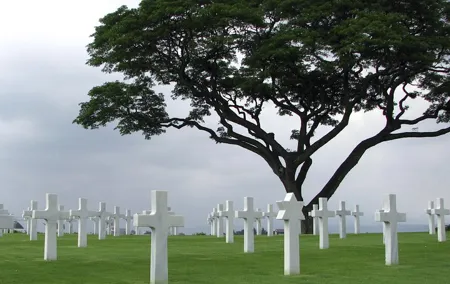 Normandy D-Day Landing Beaches Small-Group Day Trip from Paris