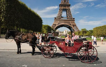 Paris Private Romantic Horse & Carriage Ride