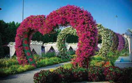 Miracle Garden: Dubai Flora and Fauna 4-Hour Tour
