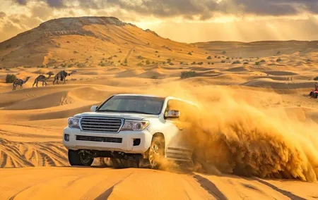 Dubai Private Morning Desert Safari: Camel Ride & Sandboarding