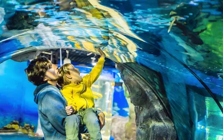 Dubai Aquarium & Underwater Zoo Entrance Ticket