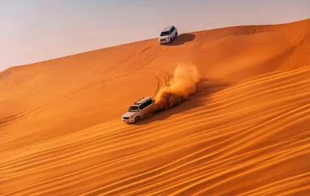 Dubai Morning Desert Safari With Dune Bashing - Private
